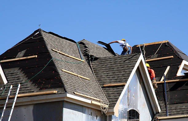 Best Roof Gutter Cleaning  in Dillonvale, OH