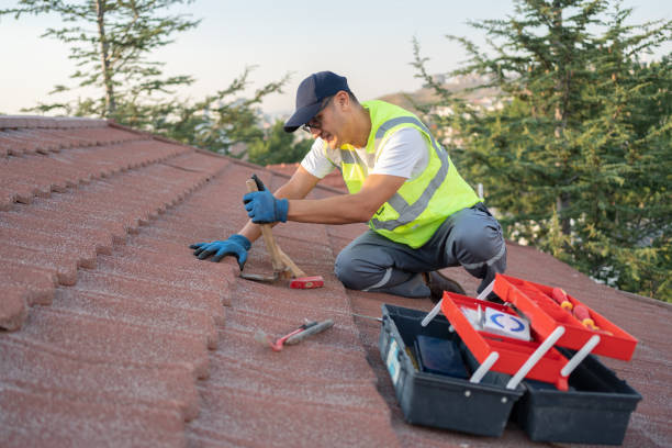 Best Local Roofing Companies  in Dillonvale, OH