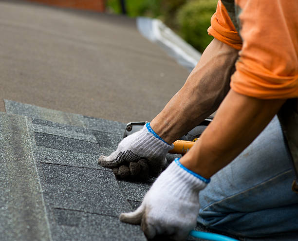 Best Storm Damage Roof Repair  in Dillonvale, OH