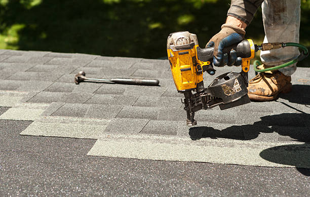 Best Roof Gutter Cleaning  in Dillonvale, OH