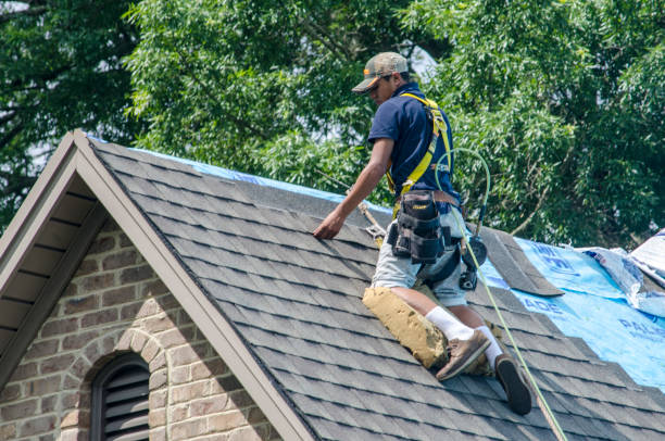Best Roof Leak Repair  in Dillonvale, OH